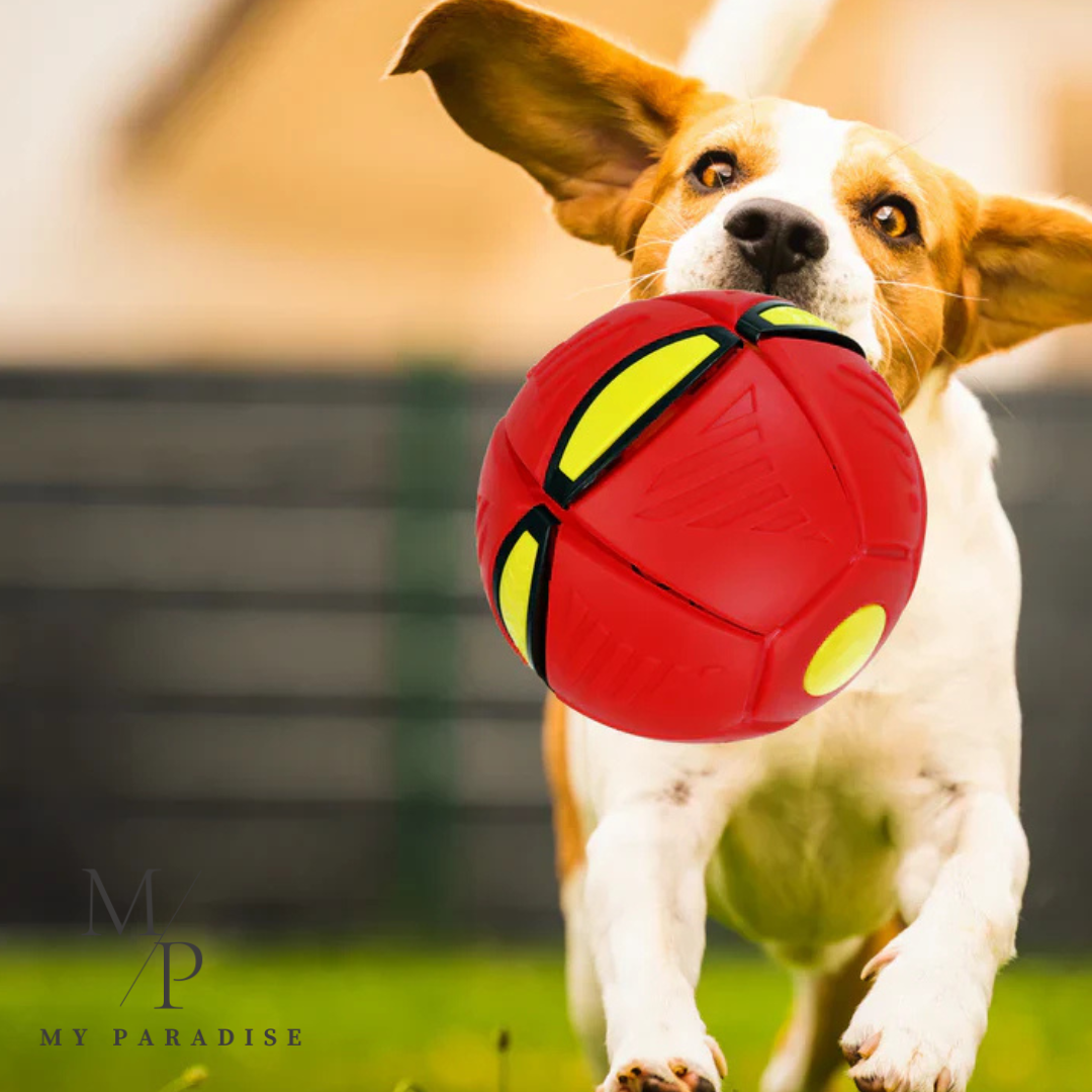 FLYBALL™️ - PELOTA ANTIESTRÉS PARA MASCOTA